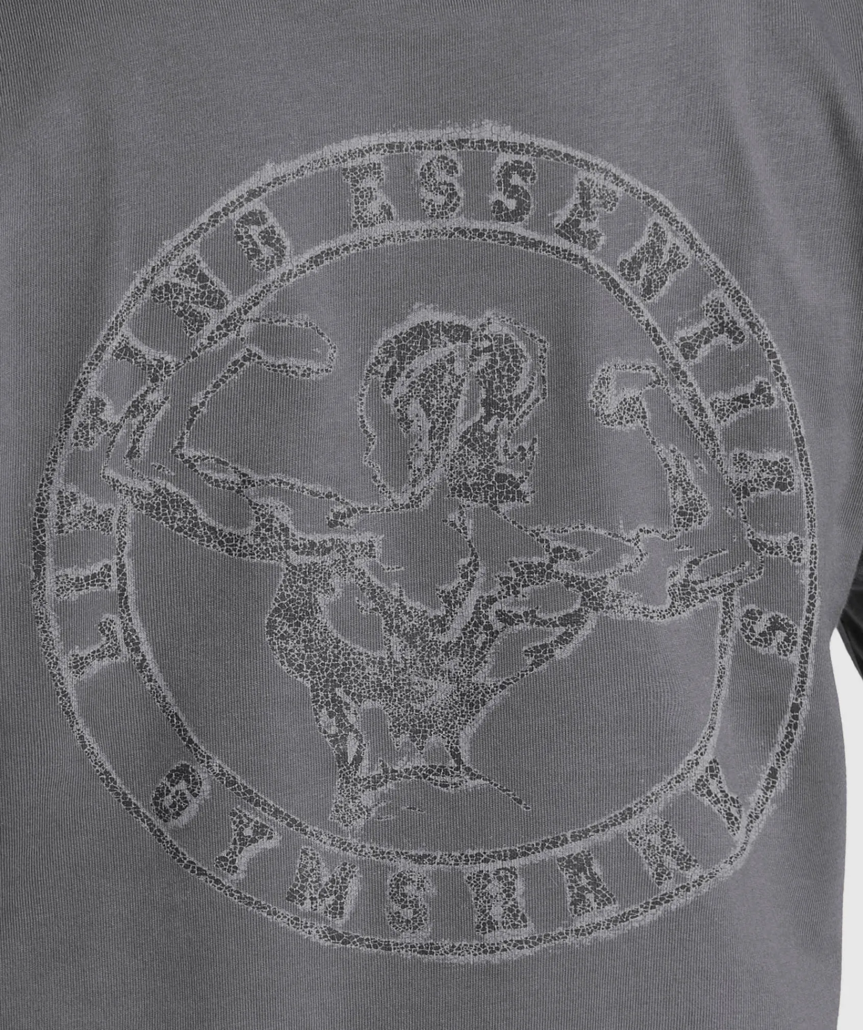 DAMES Gymshark T-shirts*Back Gains Graphic Oversized Tee