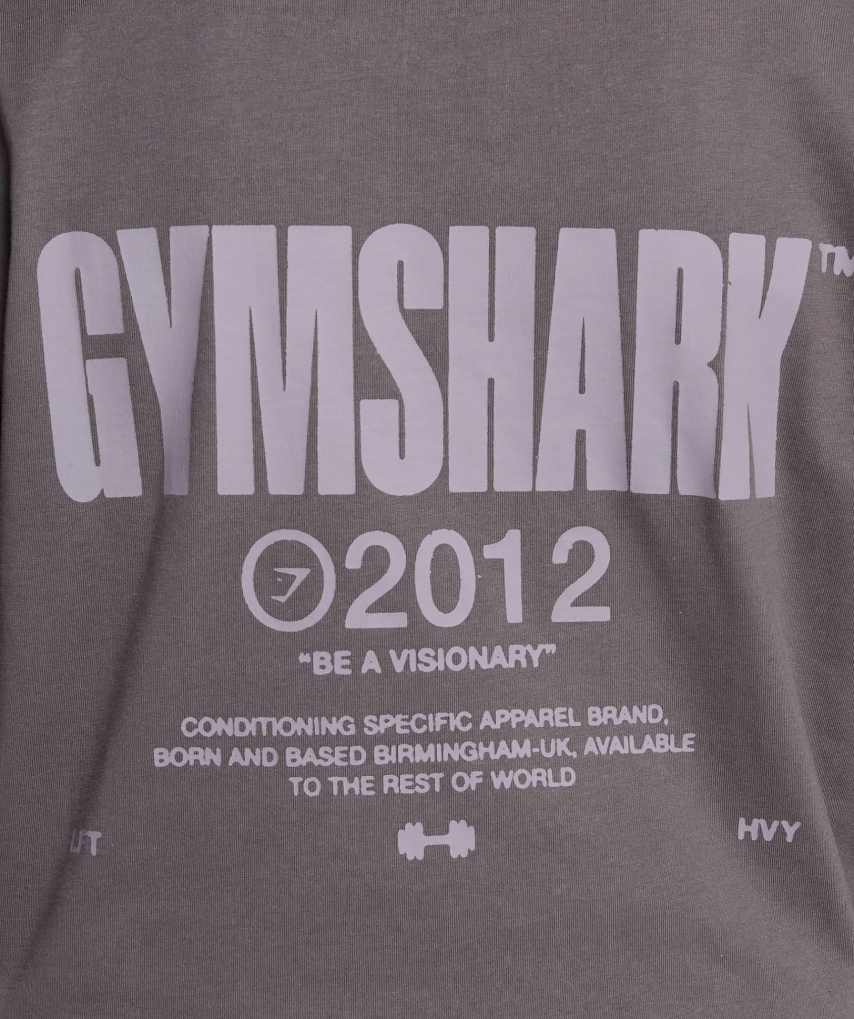 DAMES Gymshark T-shirts*Be a Visionary Long Sleeve Top