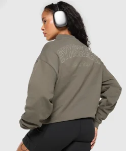 DAMES Gymshark Bedekkende Sportkleding|Hoodies & Truien*Collegiate Sweatshirt