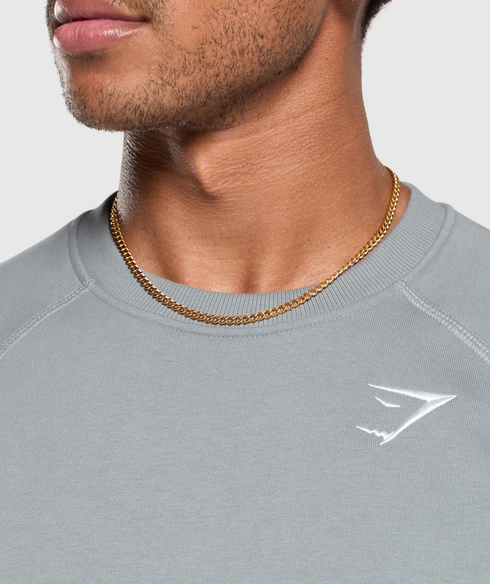 Heren Gymshark Hoodies & Truien*Crest Crew