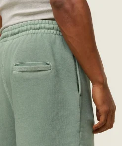 Heren Gymshark Shorts*everywear Sweat Shorts