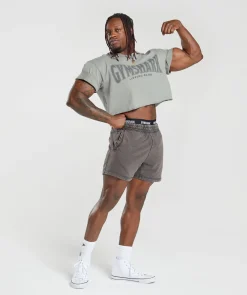 Heren Gymshark Shorts*Heritage 5" Shorts