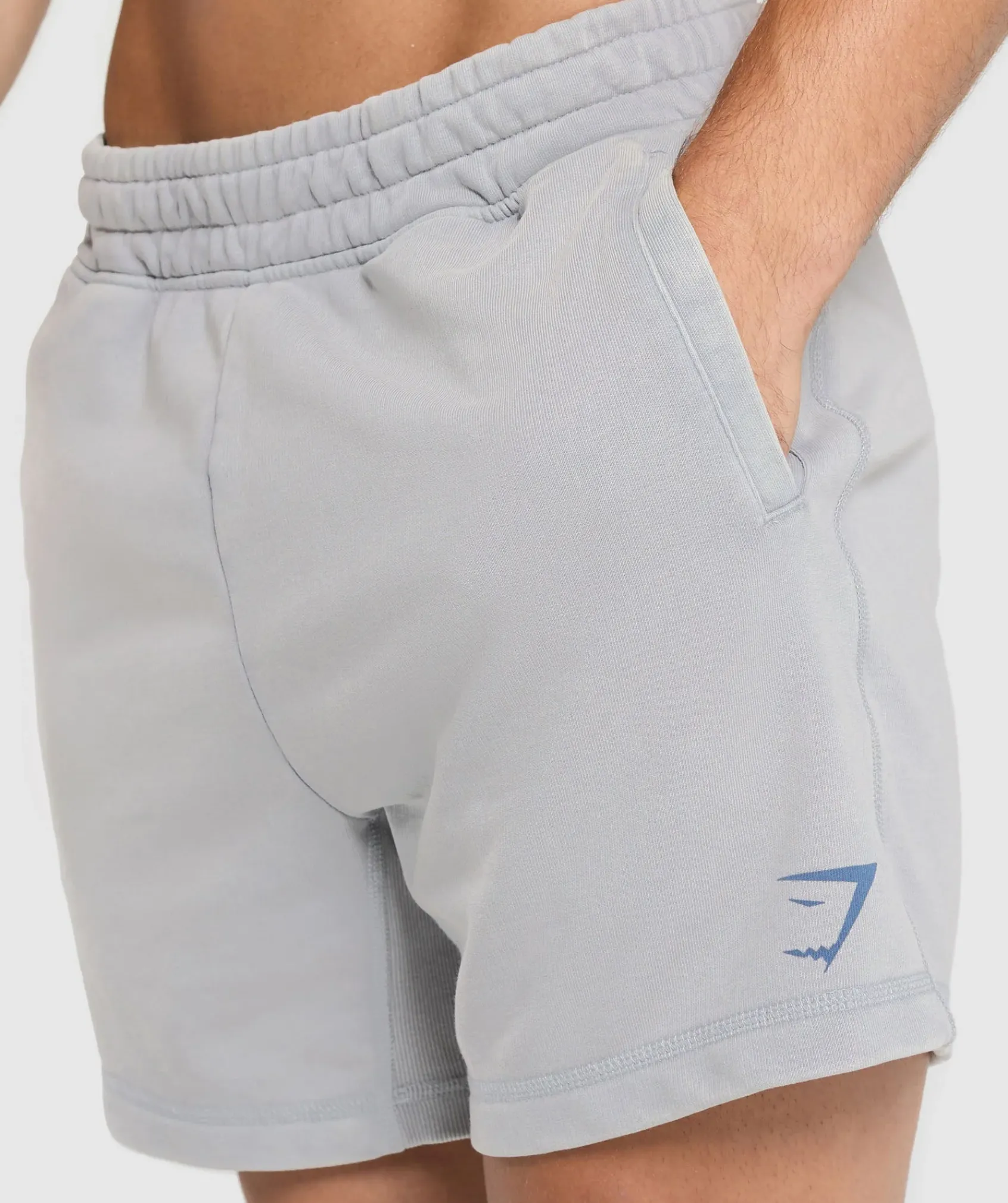 Heren Gymshark Shorts*Heritage 5" Shorts
