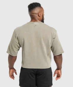 Heren Gymshark Hoodies & Truien|T-shirts*Heritage Washed Short Sleeve Crew