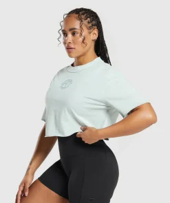 DAMES Gymshark Croptops|T-shirts*Legacy Washed Crop Top
