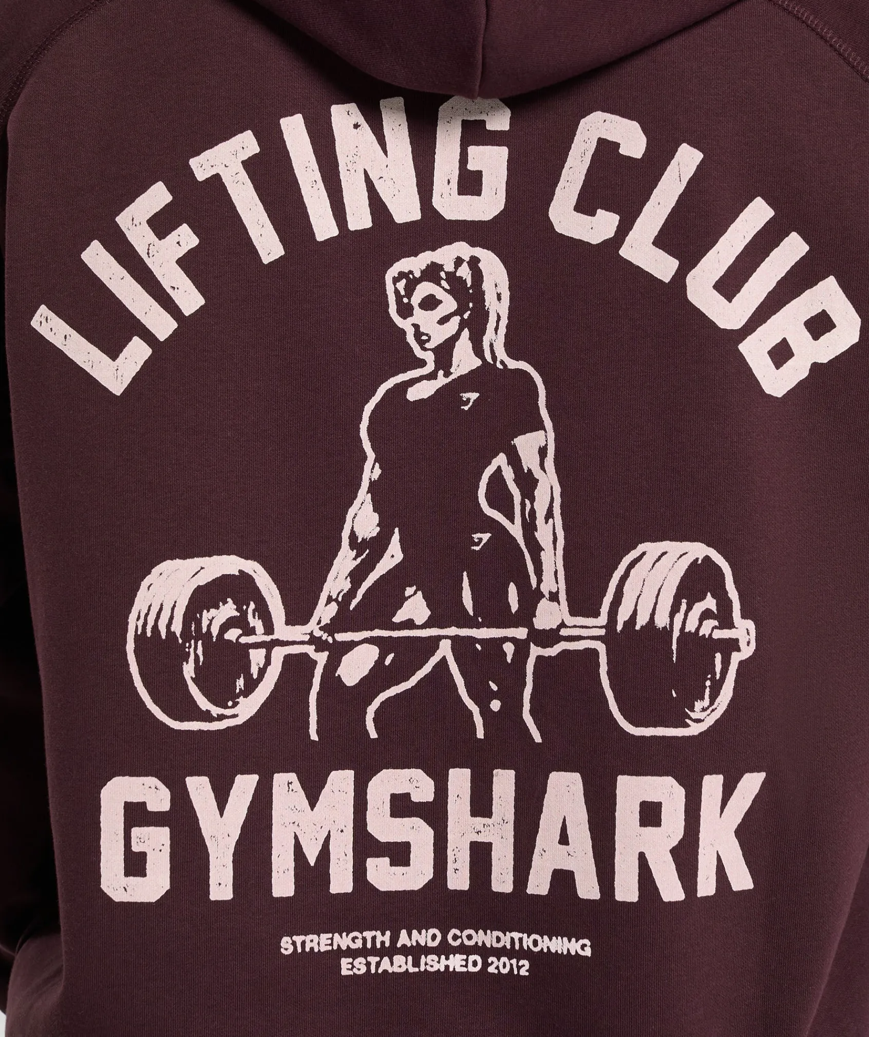 DAMES Gymshark Hoodies & Truien*Lifting Club Graphic Brushed Hoodie