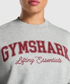 DAMES Gymshark Hoodies & Truien*Lifting Essentials Graphic Brushed Oversized Sweatshirt