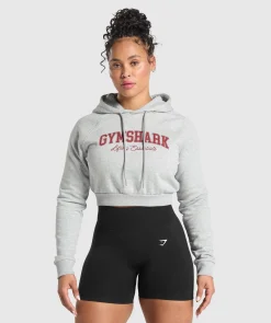 DAMES Gymshark Hoodies & Truien*Lifting Essentials Graphic Cropped Hoodie