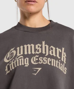 DAMES Gymshark Hoodies & Truien*Lifting Essentials Oversized Sweatshirt