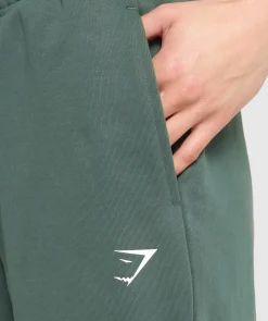 DAMES Gymshark Joggingbroeken*Lifting Graphic Oversized Joggers