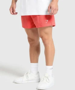 Heren Gymshark Shorts*Lifting Mesh 5" Shorts