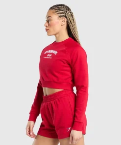 DAMES Gymshark Hoodies & Truien*Team GS Cropped Sweatshirt