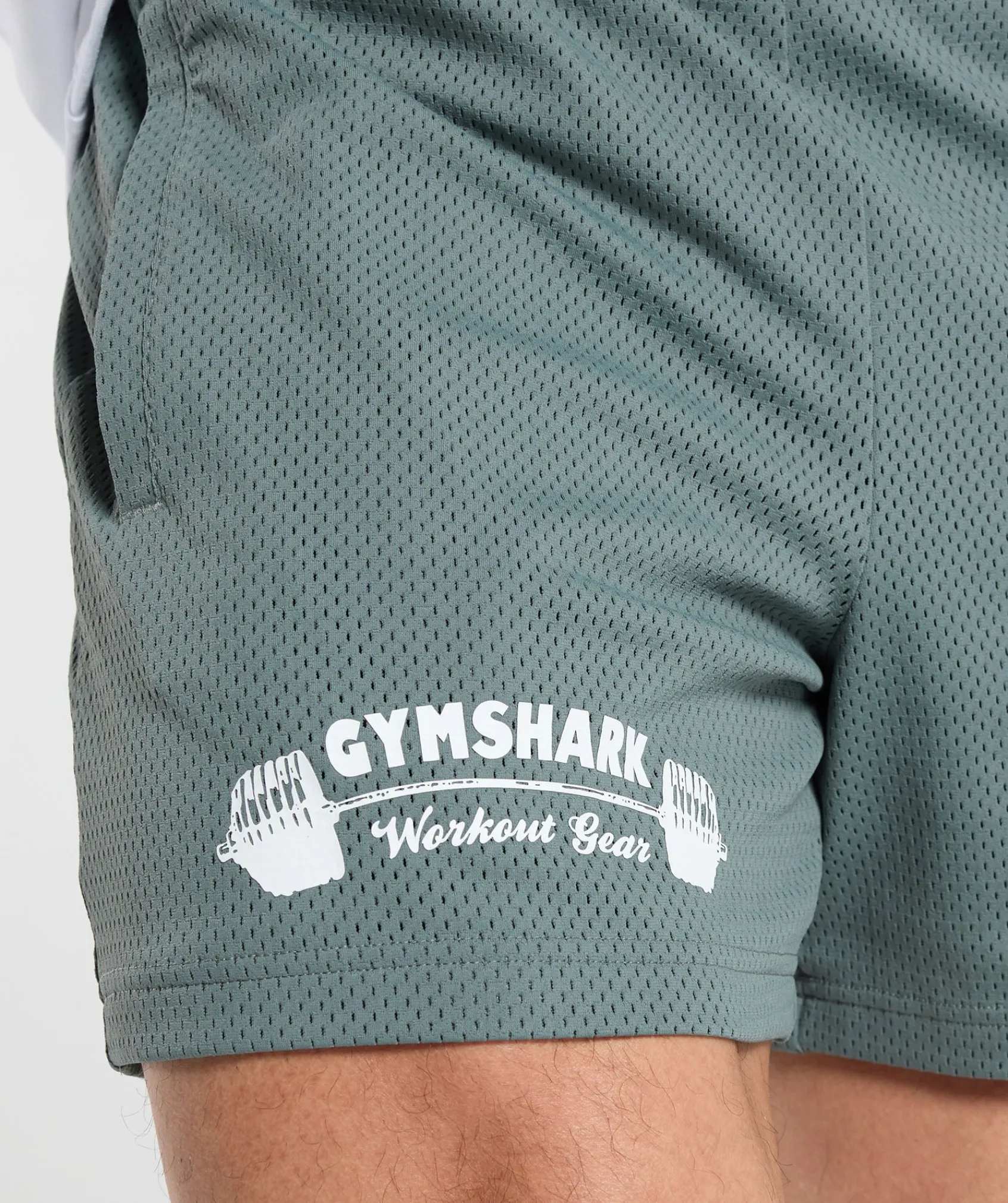 Heren Gymshark Shorts*Workout Gear Mesh 5" Shorts